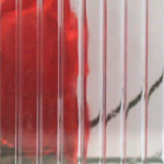 Global PC - Clear (Hollow)